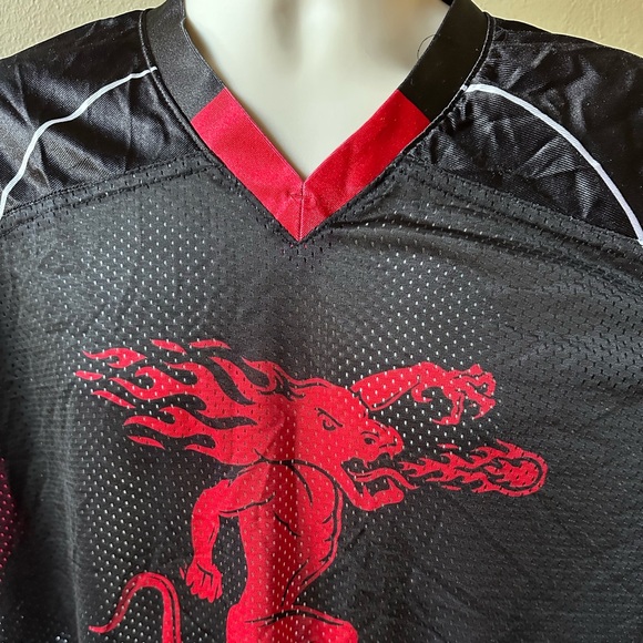 Pro Sphere Fireball Whiskey #66 Jersey - Picture 3 of 5